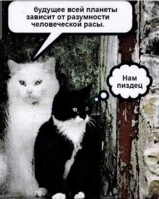 Прикрепленное изображение: 393389080_10219696025990718_1073379166068406154_n.jpg